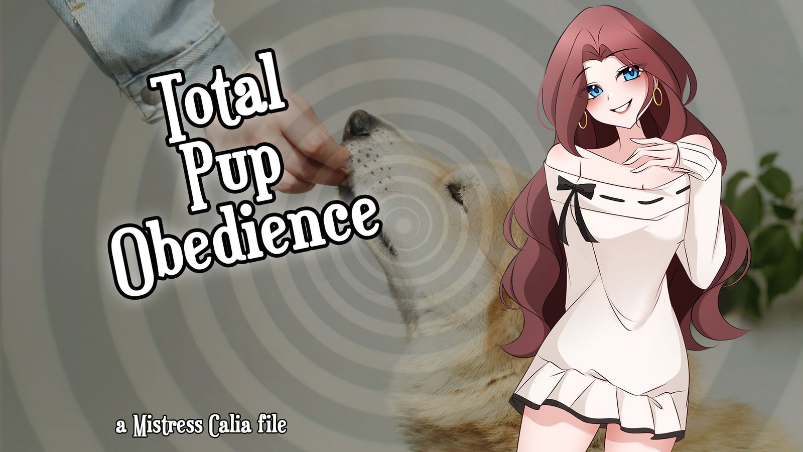 Puppy Obedience Part 3